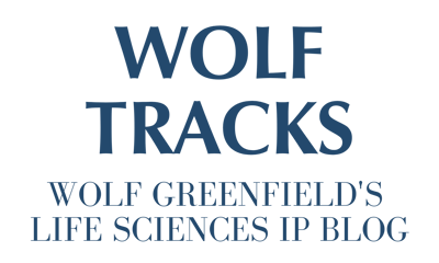 Wolf Tracks