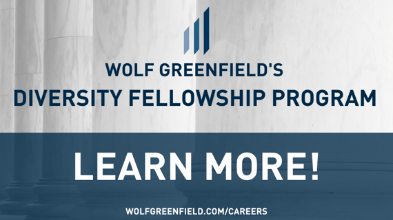 Diversity Fellowship 2