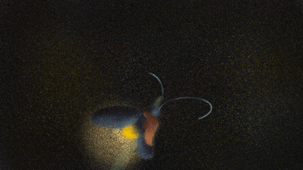 Firefly-1